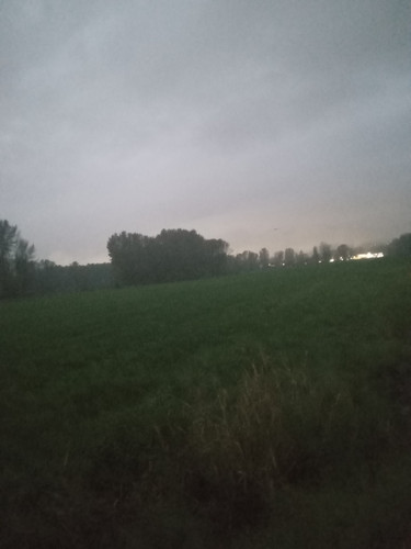 20251031 180852.jpg