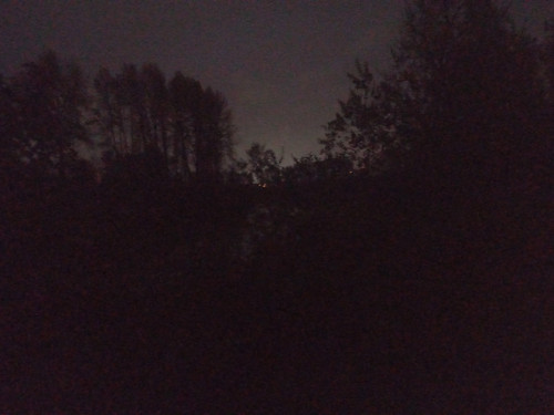 20251031 182456.jpg