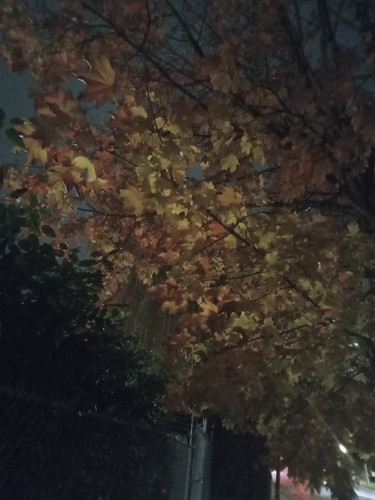 20251106 003505.jpg