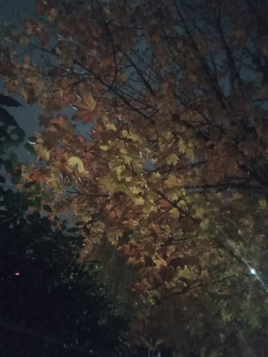 20251106 003508.jpg