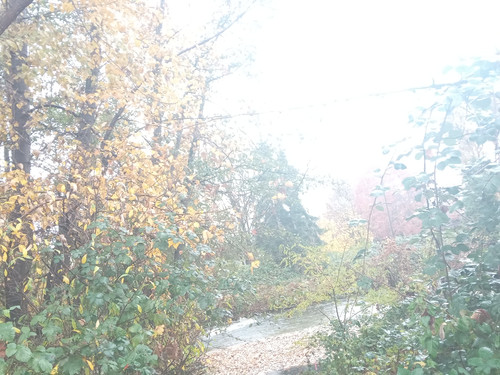 20251106 110924.jpg