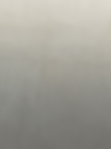 20251106 130613.jpg
