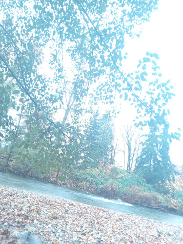 20251106 111400.jpg