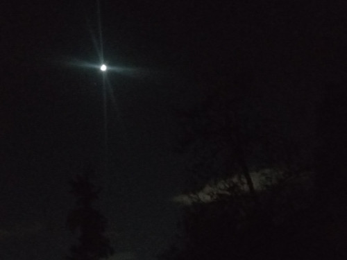 20251226 182040.jpg