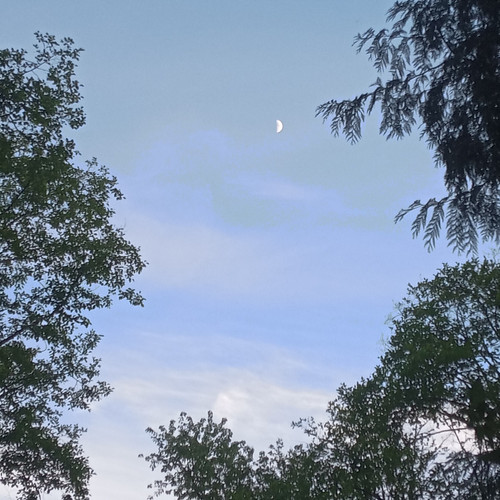 20260522 203226.jpg