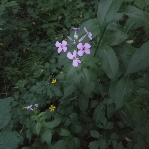 20260522 202533.jpg