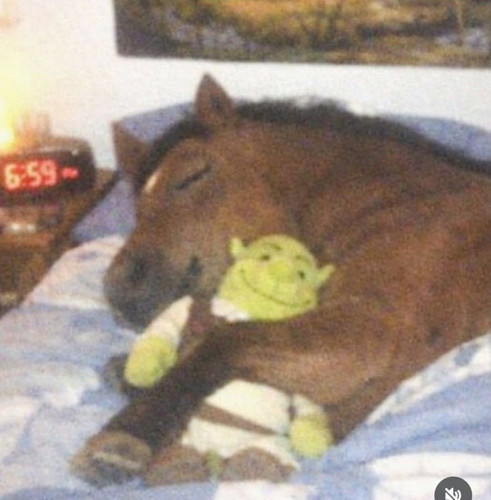 4d5c68bd2e3a.jpg