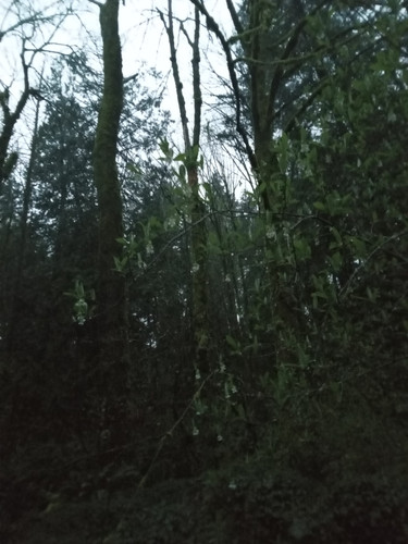 20260319 193124.jpg