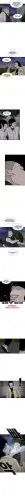 Becerro 195 08.webp