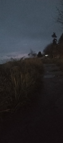 20251127 165627.jpg