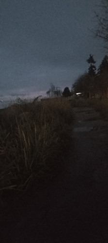 20251127 165631.jpg