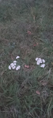 20251213 163123.jpg