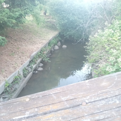 20260611 205933.jpg