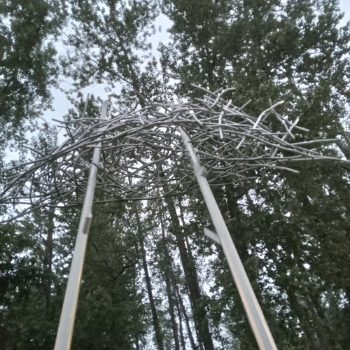 20260525 205829.jpg