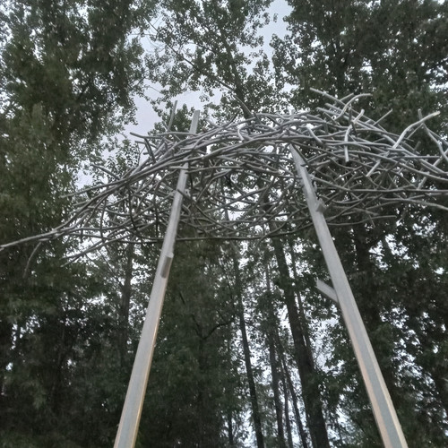 20260525 205848.jpg