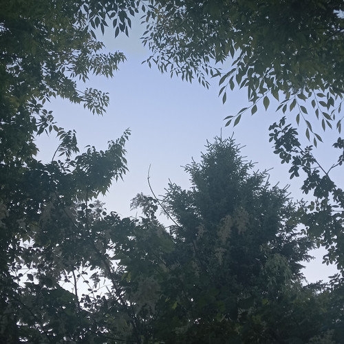 20260611 205850.jpg