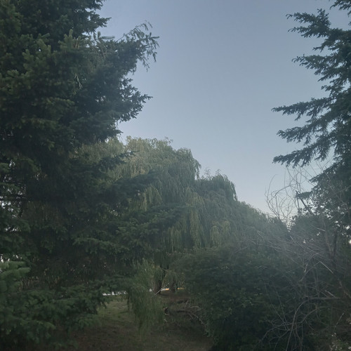20260611 210004.jpg