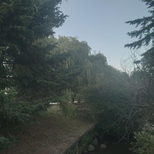 20260611 210000.jpg