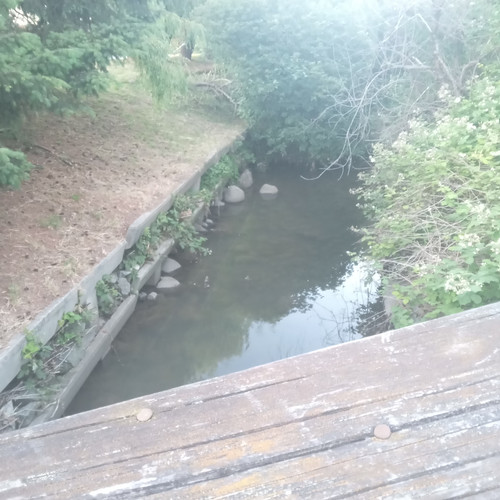 20260611 205929.jpg