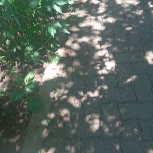 20260612 143336.jpg