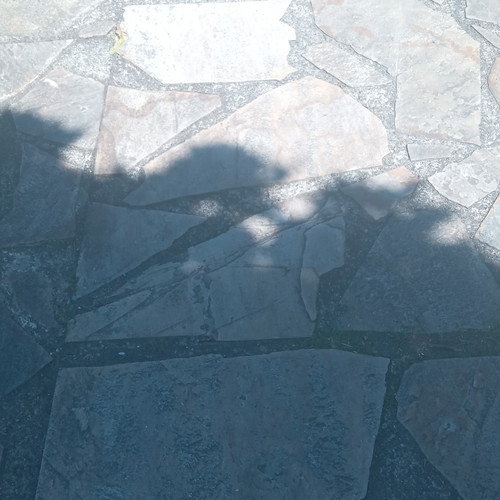 20260612 144511.jpg