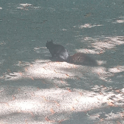 20260612 145341.jpg