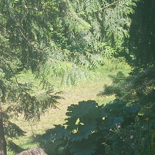 20260612 145602.jpg