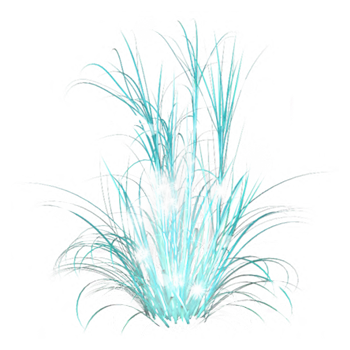 16dsma2.png