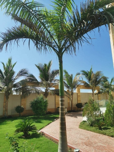 photo ٢٠٢٦ ٠٩ ٢٢ ٠١ ٣٢ ٢٠.jpg