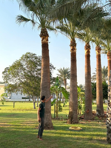 photo ٢٠٢٦ ٠٩ ٢٢ ٠١ ٣٢ ٢٢.jpg