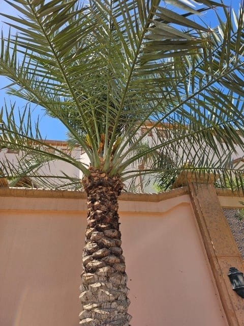 photo ٢٠٢٦ ٠٩ ٢٢ ٠١ ٣٢ ٢١.jpg