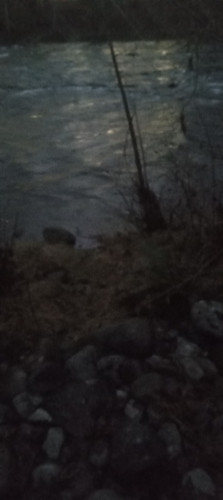 20251220 164345.jpg