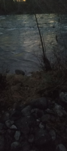 20251220 164341.jpg