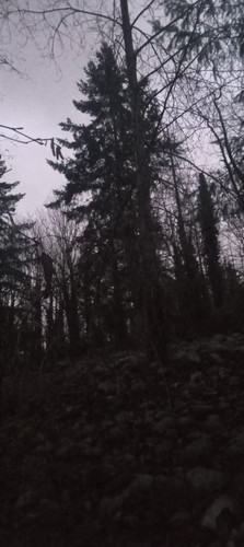 20251220 164153.jpg