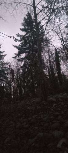 20251220 164156.jpg