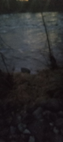 20251220 164303.jpg