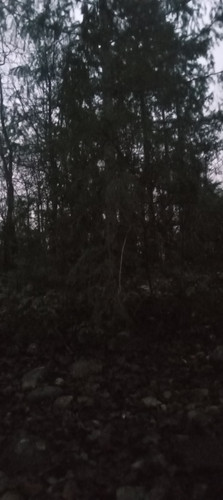 20251220 164135.jpg