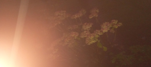 20251222 164454.jpg