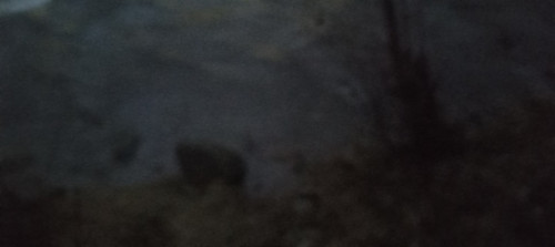 20251220 164209.jpg