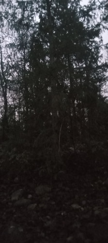 20251220 164140.jpg