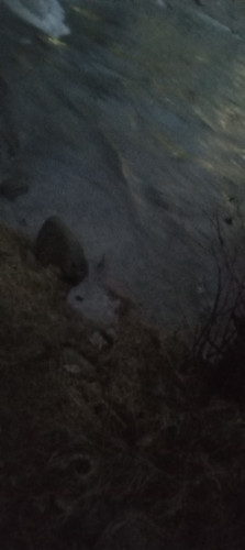 20251220 164230.jpg