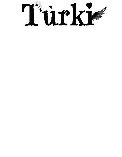 2.gif