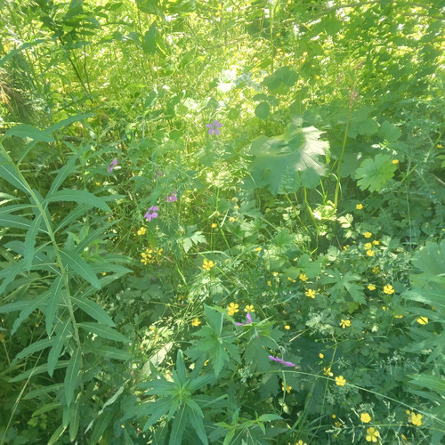 20260612 151205.jpg