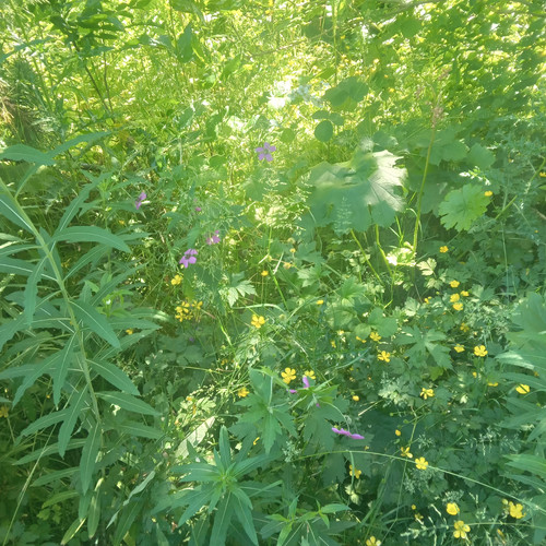 20260612 151207.jpg