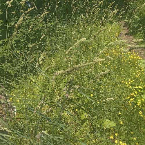 20260612 152718.jpg