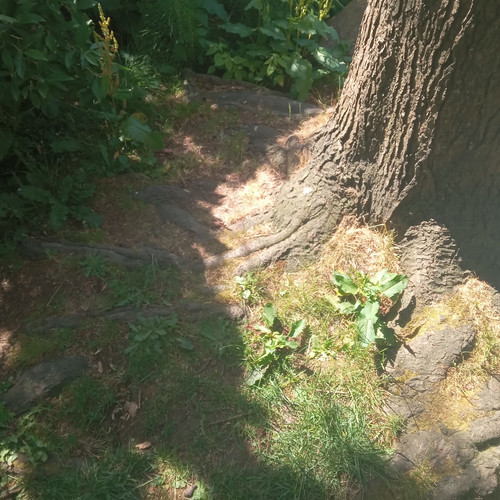 20260612 160533.jpg