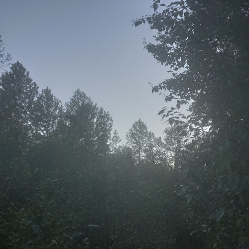 20260619 204948.jpg