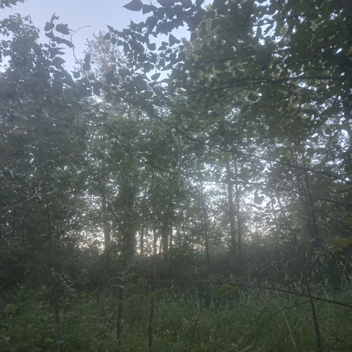 20260619 204732.jpg