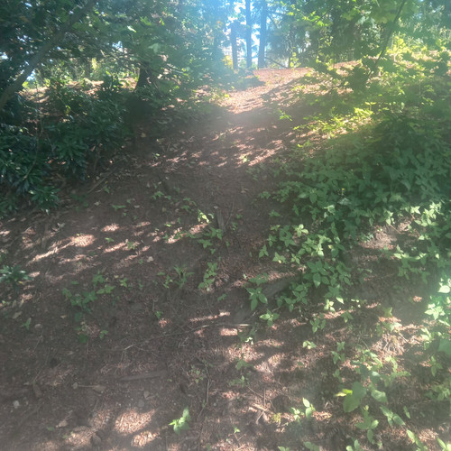 20260612 161954.jpg