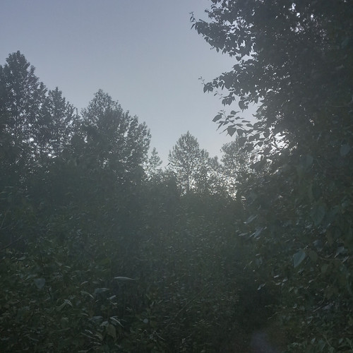 20260619 204952.jpg